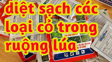 Thuốc trừ cỏ ruộng Lúa sạ cấy trị tất cả các loại cỏ lá hẹp lá rộng 023 57