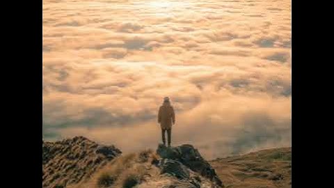 Solar Fields -  The Missing