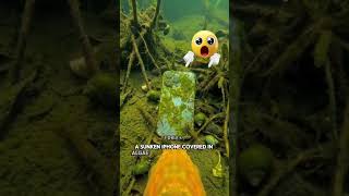 Hidden Treasures! #shorts #youtubeshorts #trending #trendingshorts #adventure #fish #treasure
