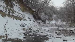 Pedee Creek In Winter