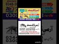 army dog Center lahore #03000925788