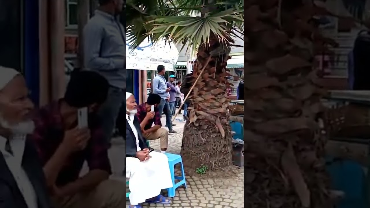 #አደባባይ_የተዉሂድ_ጥሪ #አቡል_አባስ_ናሲር #አዲስ_አበባ