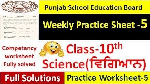 pseb competency based paper class 10th social science worksheet 5 test 2024 10 class practice sheet