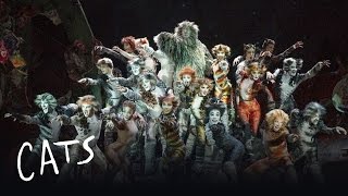 Cats Heads To Adelaide! - Australia | Cats the Musical