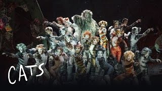 Cats Heads To Adelaide! - Australia | Cats the Musical
Cats the Musical is heading to Adelaide next March!
Discover more about CATS:
http://www.catsthemusical.com/
SUBSCRIBE for more Catty content:
https://www.youtube.com/subscription_center?add_user=catsmusical
Become a Jellicle Cat!
Twitter: https://twitter.com/catsmusical
Facebook: https://www.facebook.com/CatstheMusical
About:
Based on T. S. Eliot’s Old Possum’s Book of Practical Cats, the show is set amongst a larger- than-life junkyard playground and is alive with our favourite feline characters including Rum Tum Tugger, Mr. Mistoffelees, Macavity, Jennyanydots, Old Deuteronomy, Grizabella and Skimbleshanks.
The Jellicle Cats come out to play on one special night of the year – the night of the Jellicle Ball. One by one they tell their stories for the amusement of Old Deuteronomy, their wise and benevolent leader, who must choose one of the Cats to ascend to The Heaviside Layer and be reborn into a whole new Jellicle life. Cats Heads To Adelaide! - Australia | Cats the Musical