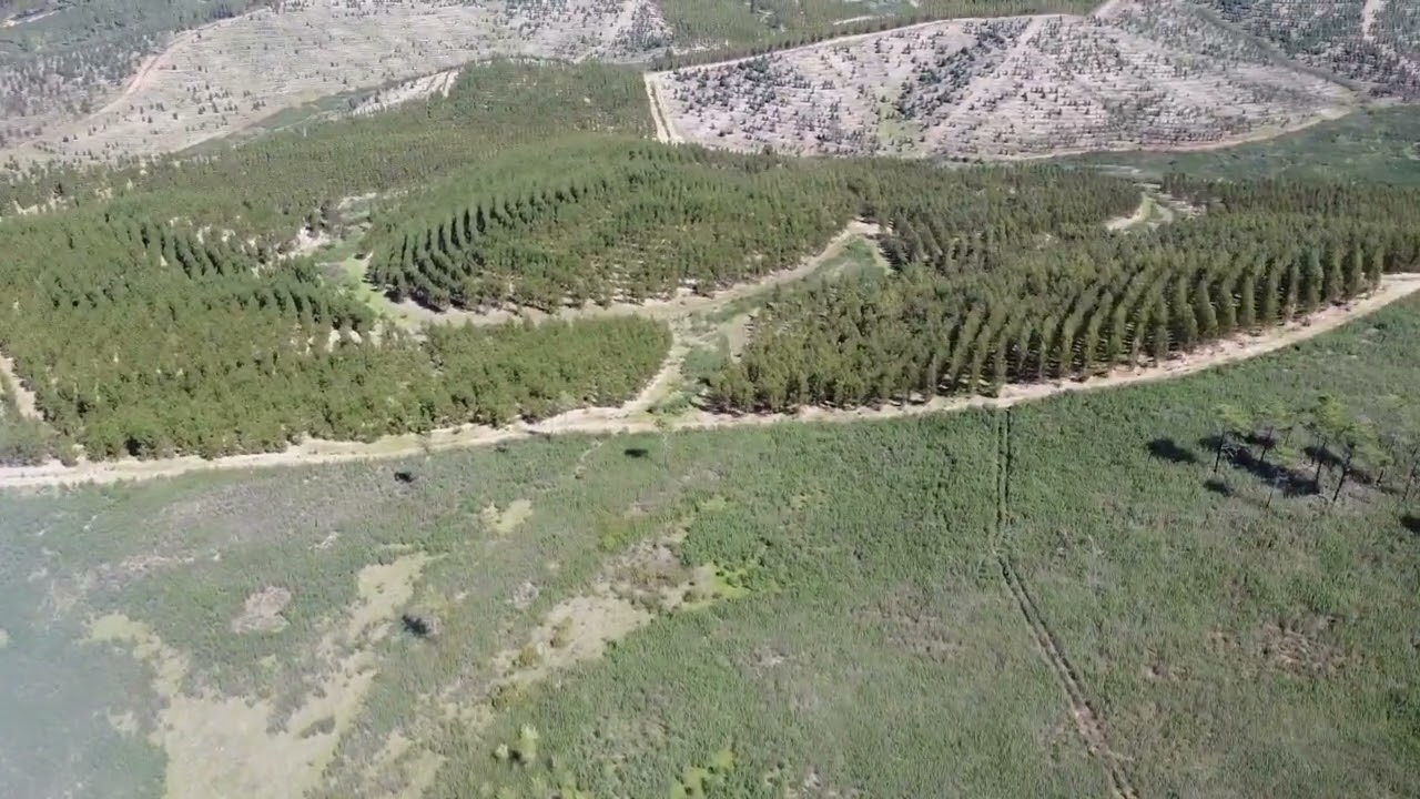 Farm - Rural building 84m2 - Forest - 93ha - Ninho do Açor. Price: 500.000€