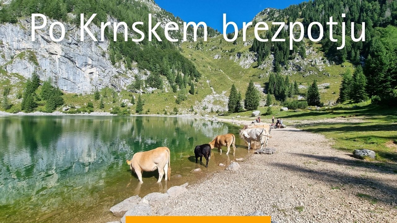 Lemež (2035 m) | Krnsko jezero in osupljiva brezpotja Krnskega pogorja