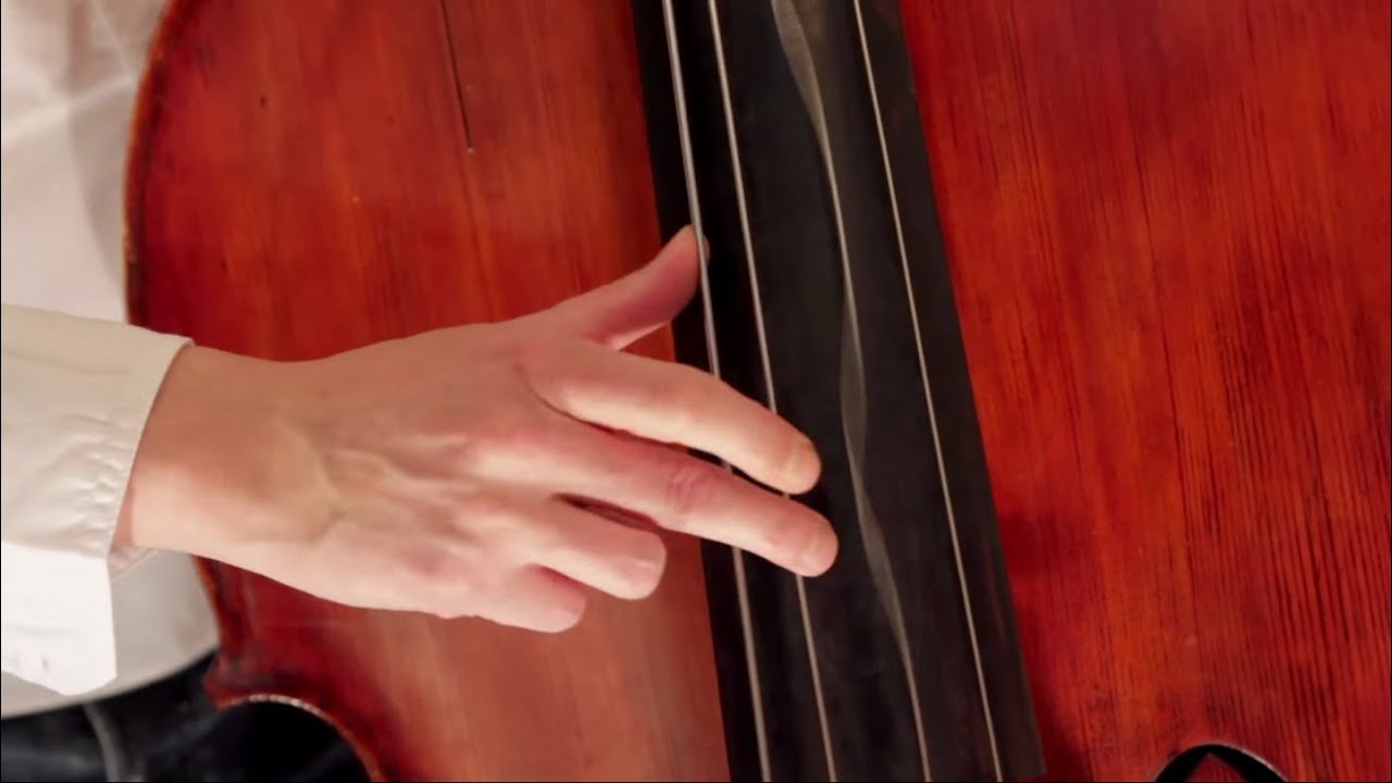 BURNING UPRIGHT BASS SOLO Nenad Vasilic YouTube Music