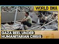 Israel-Palestine war: World leaders, humanitarian organisations call for aid corridor | World DNA