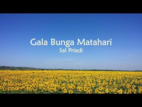 Sal Priadi -