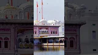 #statusvideo #shortvideo #spiritualbeats #waheguruji #motivation #trending