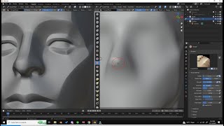 Celebrity Split screen setup Blender Similar to Zbrush Profile