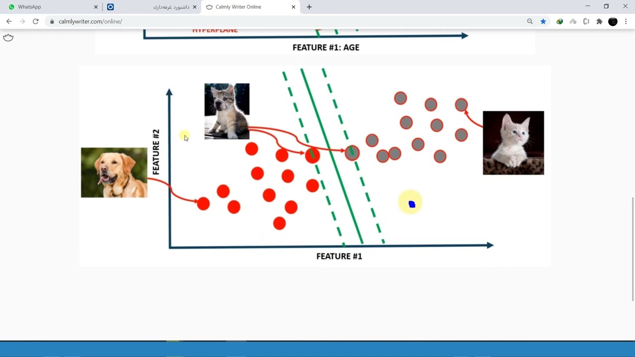 11. Machine Learning - Classification - Support Vector Machine