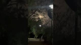 Full moon🌝#love#hardworkworks#youtubeshorts#motivationalsayings#heartfeltshayari#fyp#memes#youtube