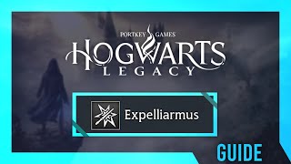 Professor Hecat's Assignment 2 | Hogwarts Legacy Guide & Walkthrough Profile