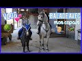 Balade avec les poneys  mon copain   gopro