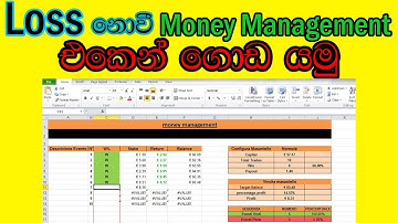 how to use money management system with forex binary iq option