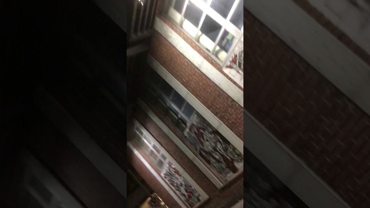 west hazleton pennsylvania mcglynn quinn lesney prokopovich larock moser shafebook