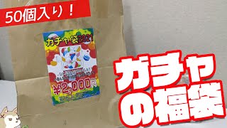 ネタグッズから実用性のあるものまで！ガチャガチャ50玉入り福袋開けてみた