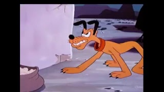 Clic Tom&Jerry Donald Duck Cartoons Live 247