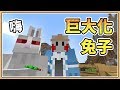 【Minecraft】巨大化殺手兔🐇｜隱藏彩蛋