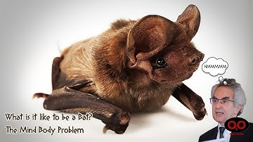 What is it like to be a Bat? The Mind Body Problem