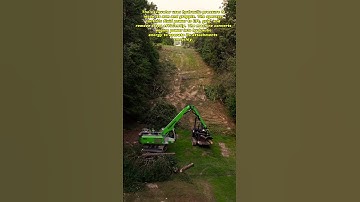 Efficient Tree Clearing Operation with Hydraulic Excavator | Educational Video🇺🇲