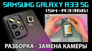: Samsung Galaxy A33 5G (SM-A336B) -  /      