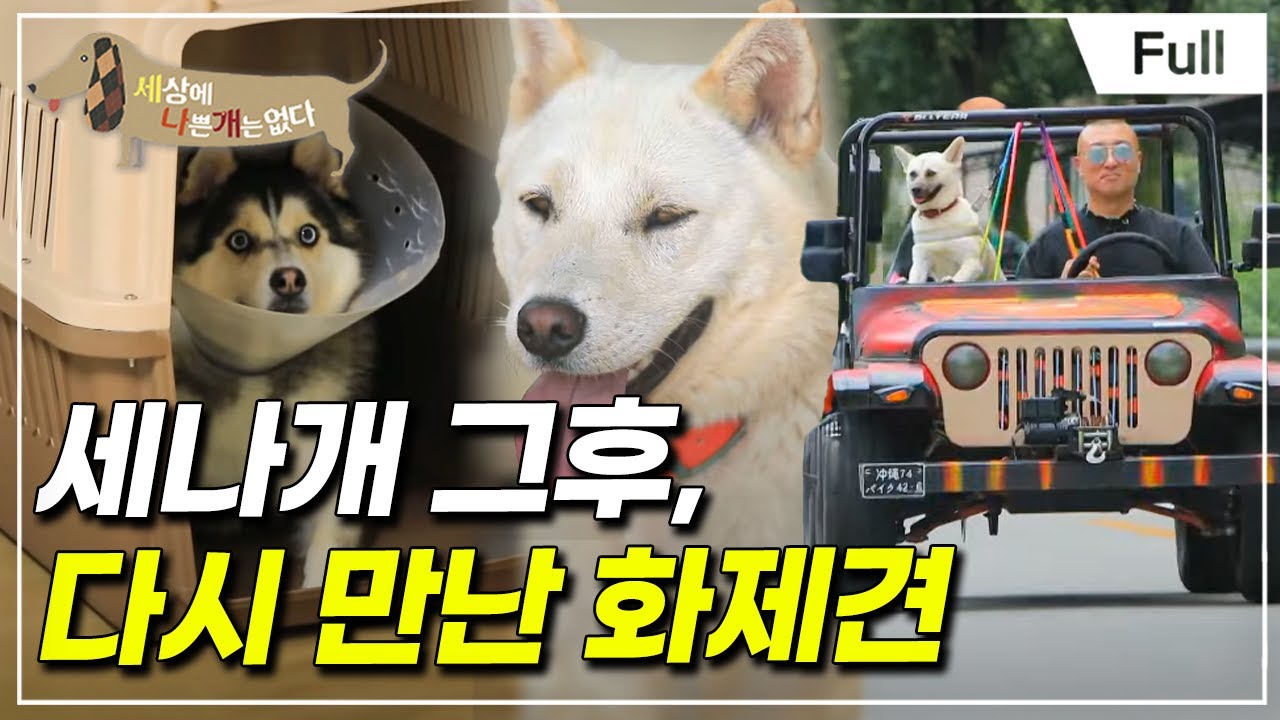 [Full] 세상에 나쁜 개는 없다 - 세나개 그 후, 다시 만난 화제견