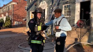 2 cats rescued from DC apartment fire