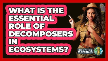 What Is the Essential Role of Decomposers in Ecosystems?