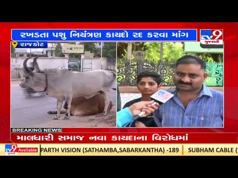Rajkot: Maldhari community seeks withdrawal of Gujarat Cattle Control In Urban Areas Bill| TV9News