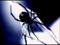 Arachnophobia Soundtrack  - Trevor Jones