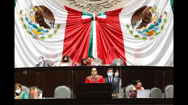 Dip. Idalia Reyes Miguel (MORENA) /Presentacin de ...