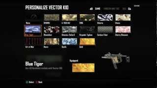 Black Ops 2 Golden Vector K10 - How to get Golden Vector K10
