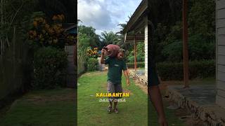 Cost Of Living In Kalimantan