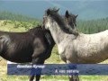 Богдан Кучер Час летить відеокліп Богдан Кучер Час летить відеокліп