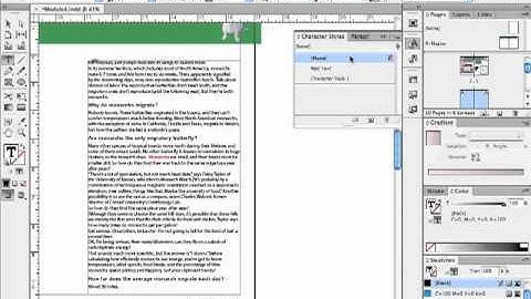 InDesign cs6: Character Styles