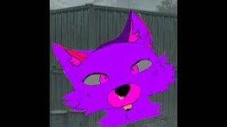 cs2 late night stream