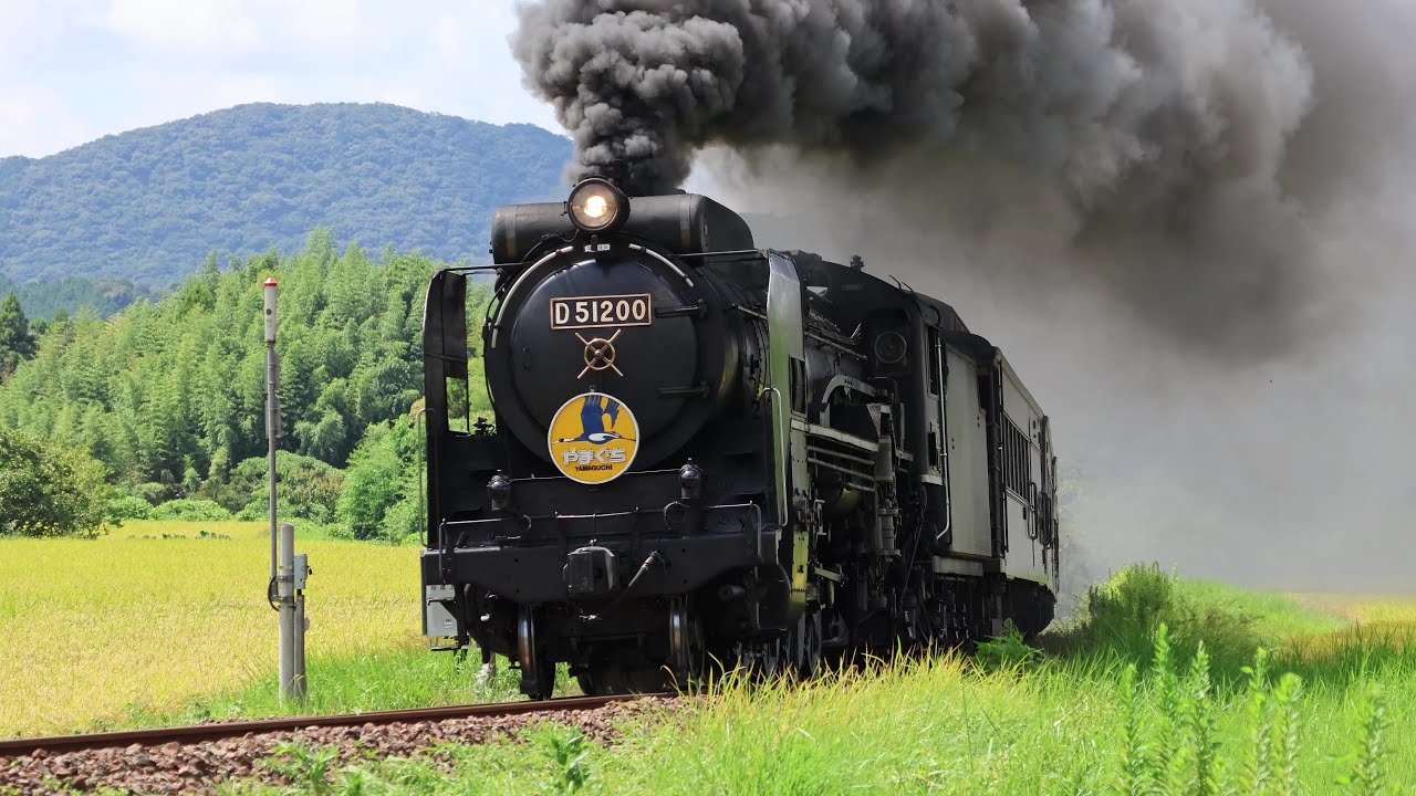 【SLやまぐち号】8月最終日！瑞風も登場した夏空の山口線 2025.8.31【D51 200】