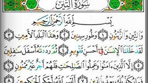 سورة التين بصوت القارئ الأستاذ( محيي الدين أبو العلا)