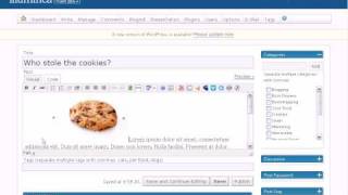 Wrapping text around an image in WordPress