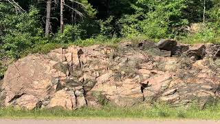 Shear zone in the upper Archean rocks of the U.P.