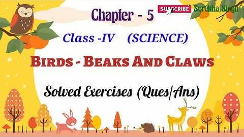 Chapter 5.  BIRDS - BEAKS AND CLAWS //(Exercises/Question & Answers) , Class 4, Science , DAV, CBSE