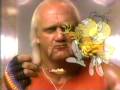 HONEY NUT CHEERIOS COMMERCIAL - HULK HOGAN - 1985