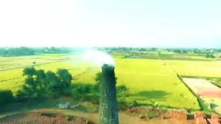 Kingseeds Pakistan