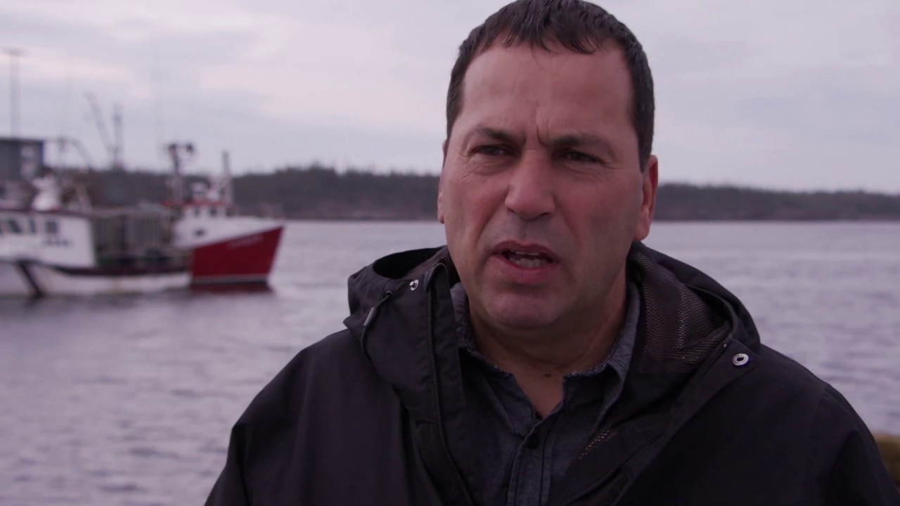 Vivre de la mer: La pêche aux buccins