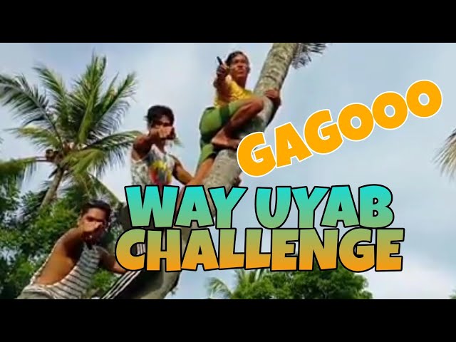 WAY UYAB  - SAN VICENTE VINES