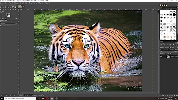 Jak změnit velikost obrázku v IrfanView?