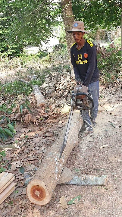 Machine Chainsaw #chainsaw #stihl #husquvarna #wood #machine #shorts #wheelsaw #youtubeshorts #viral